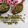 Top Quality Price Chinese Shine Skin Pumpkin Seed Kernels